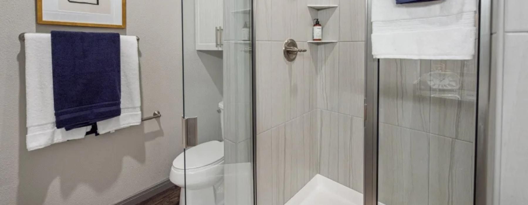 a bathroom with a shower and toilet